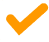 check icon