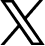 x icon