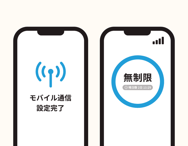 eSIM利用開始
